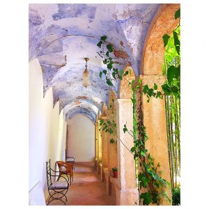 Read more about the article Au Monastère de Ségriès